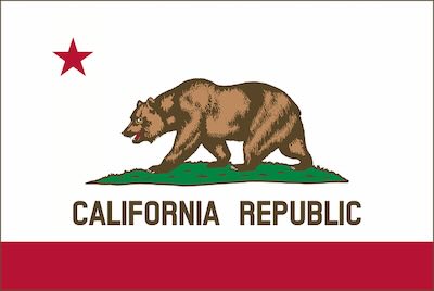 California state flag - California contractor bonds and licensing
